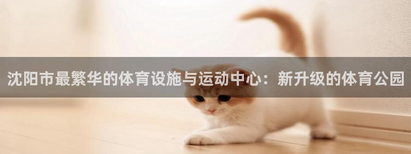 杏运达贝是什么