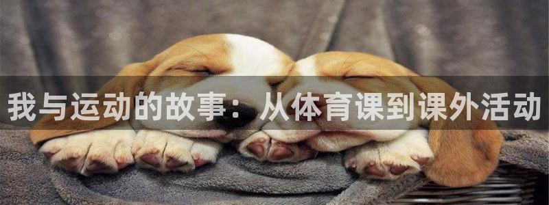 杏运体育游戏