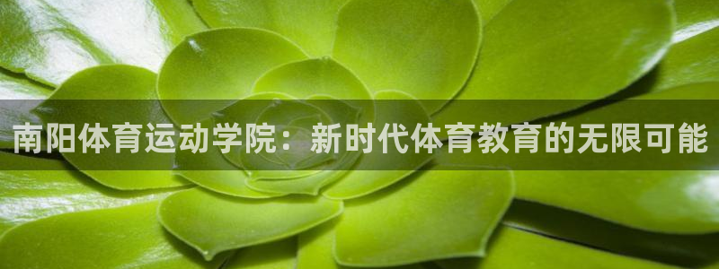杏运体育官网