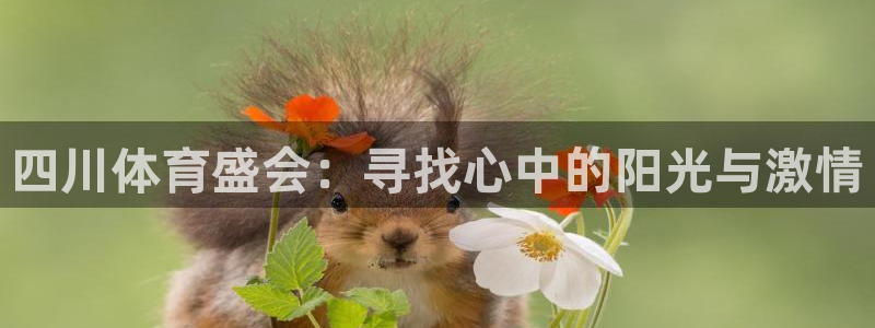 杏运体育凯捷平台代理