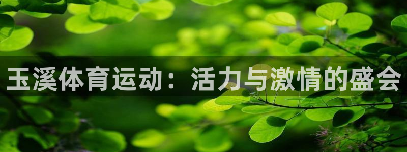 杏运体育注册代理