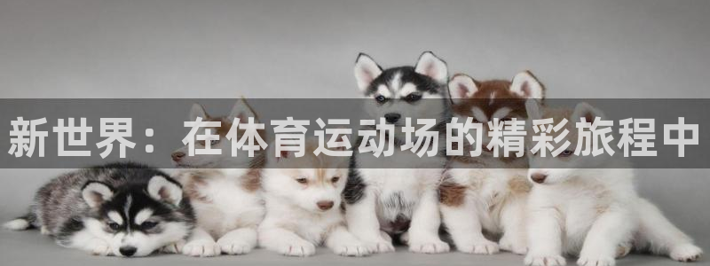 杏运新能源汽车
