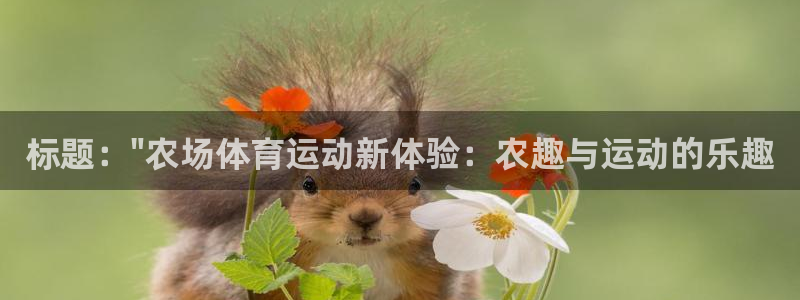 上海杏运汽车电子有限公司