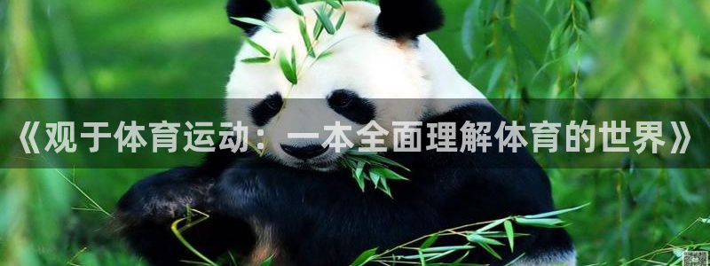 杏运主管