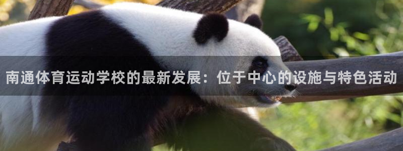 杏运汽车官网