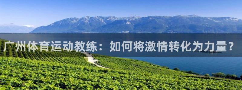 杏运新能源汽车价格
