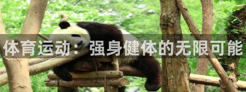 杏运体育在线注册
