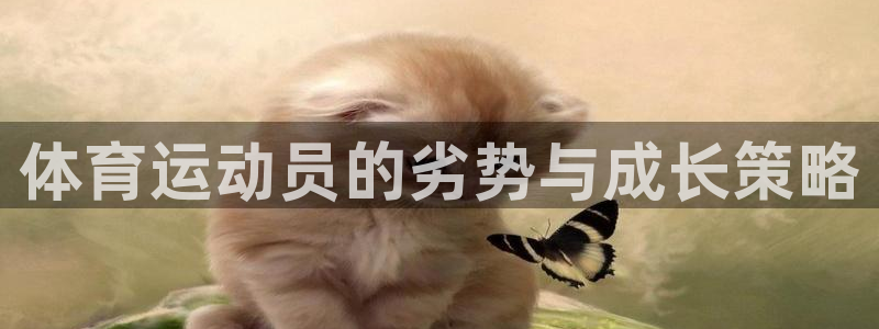 杏运体育用品