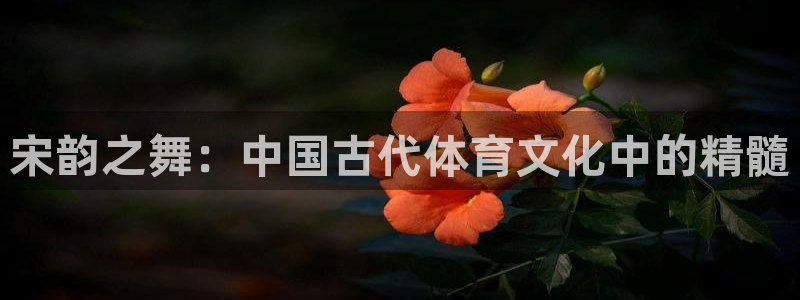 杏运3官网