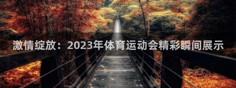 杏运体育凯捷平台代理