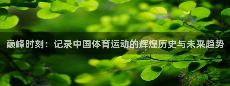 杏运市集在哪