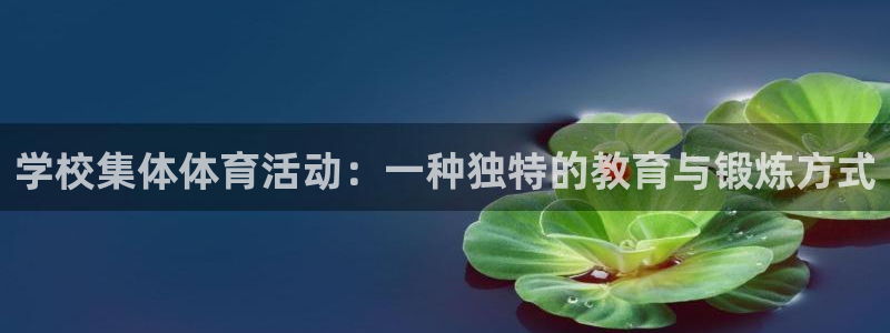 杏运体育凯捷平台主管