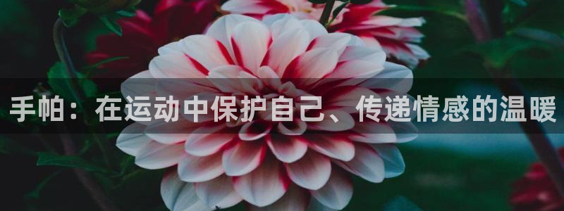 杏运市集在哪