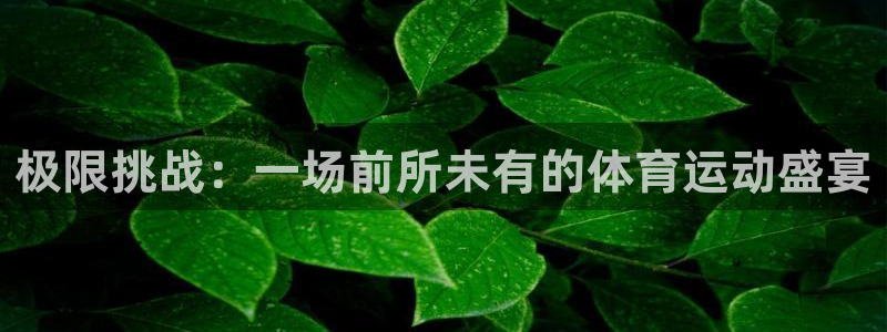 杏运体育网页版入口