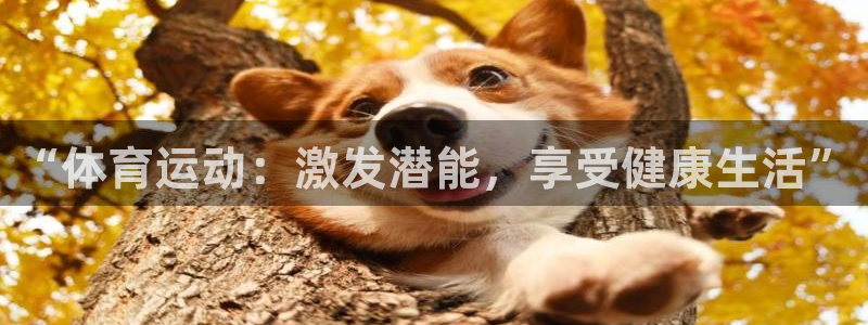 杏运平台注册