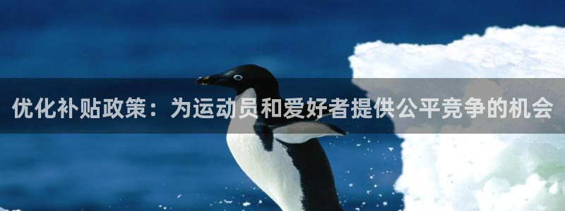 上海杏运汽车电子有限公司