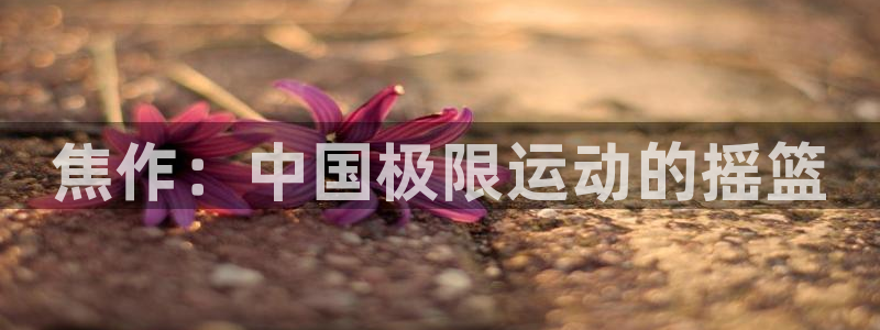 杏运2注册