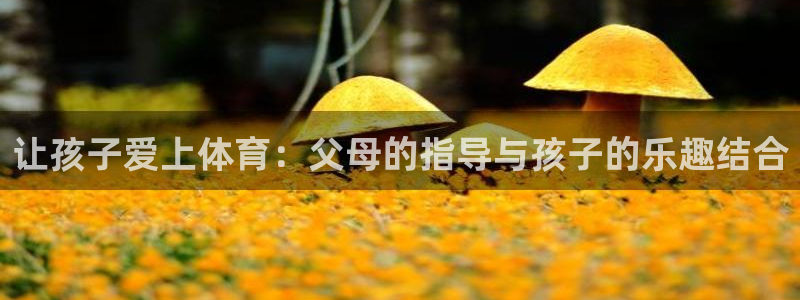 杏运招商